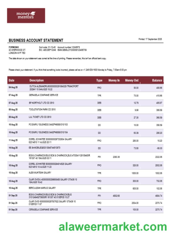 Canadian Money Mentors (MM) business organization checking  statement Word and PDF format